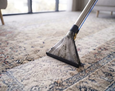 Higienização de tapetes e carpetes